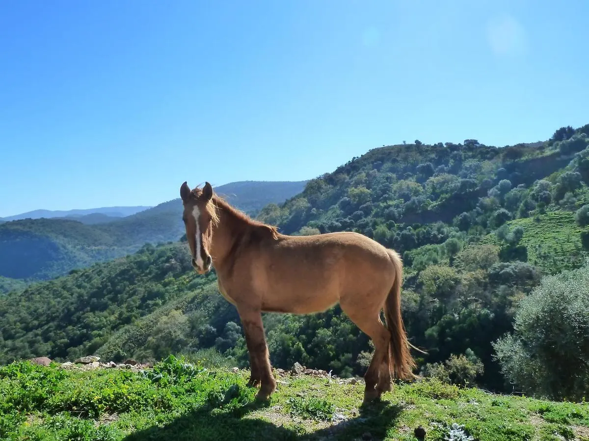 Villa Reina Del Rio Puerto Serrano Hiszpania