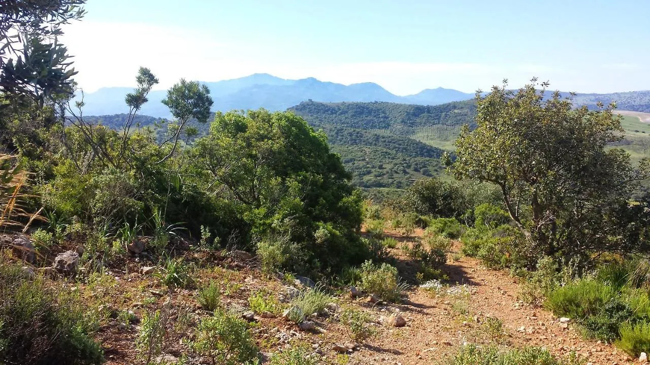 Holiday home Villa Reina Del Rio Puerto Serrano Spain
